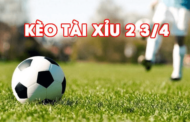 kèo 2.75 là gì - Image 3