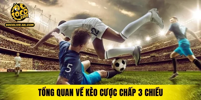 kèo 3 chiều là gì - Image 4
