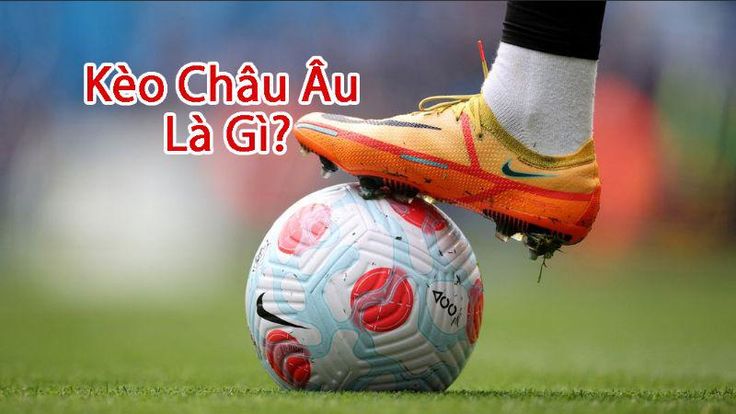 kèo châu Âu là gì - Image 1
