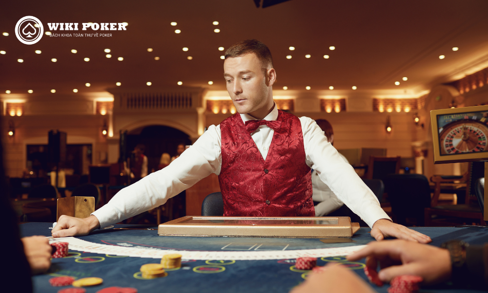 live dealer là gì - Image 4