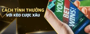 multiple bet là gì