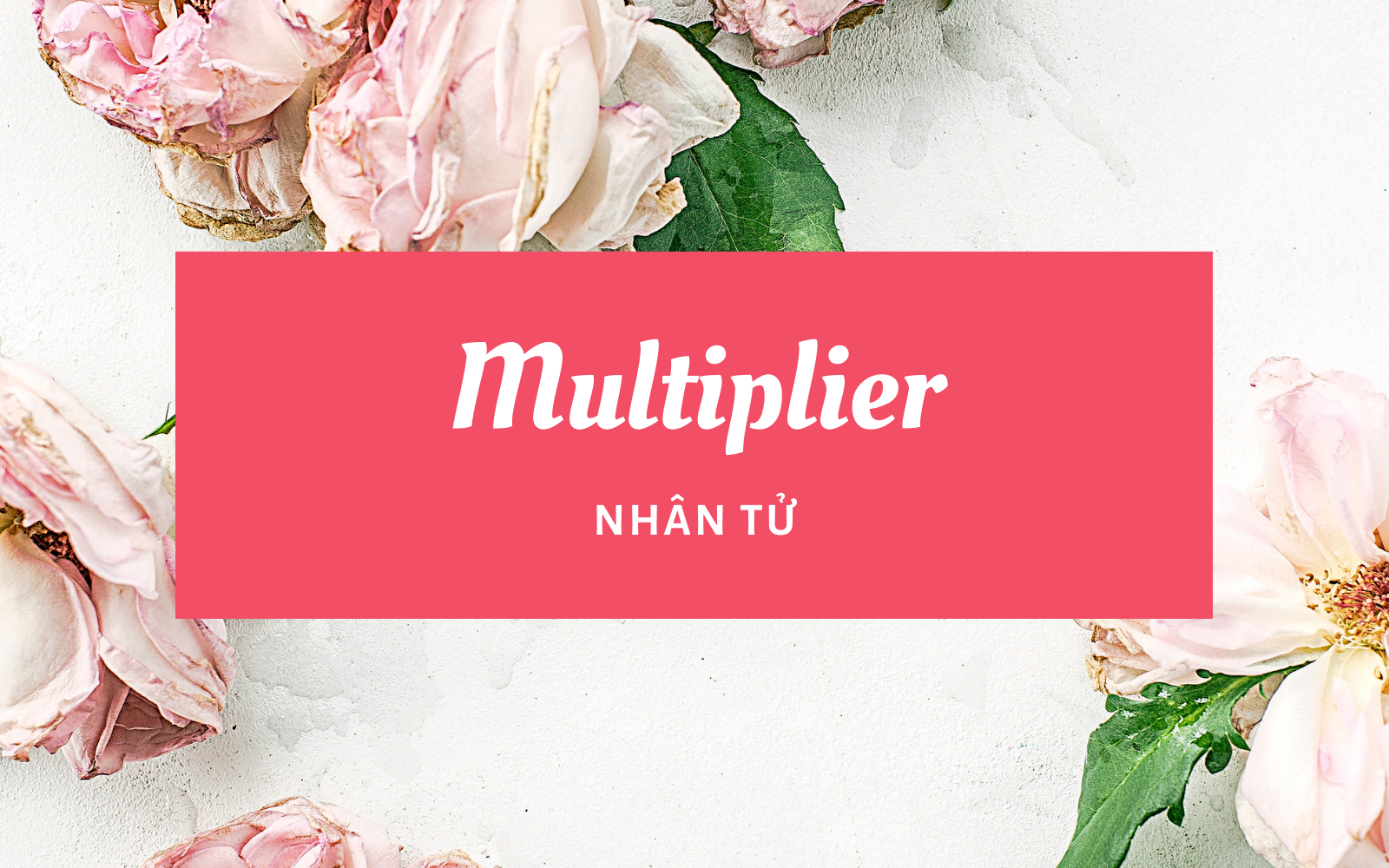 multiplier là gì - Image 1