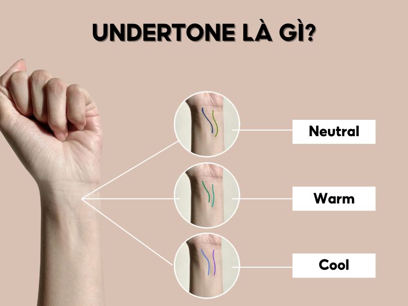 neutral venue là gì - Image 3