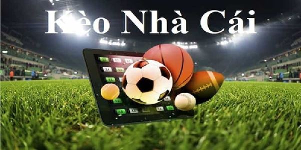 nhà cái là gì - Image 4