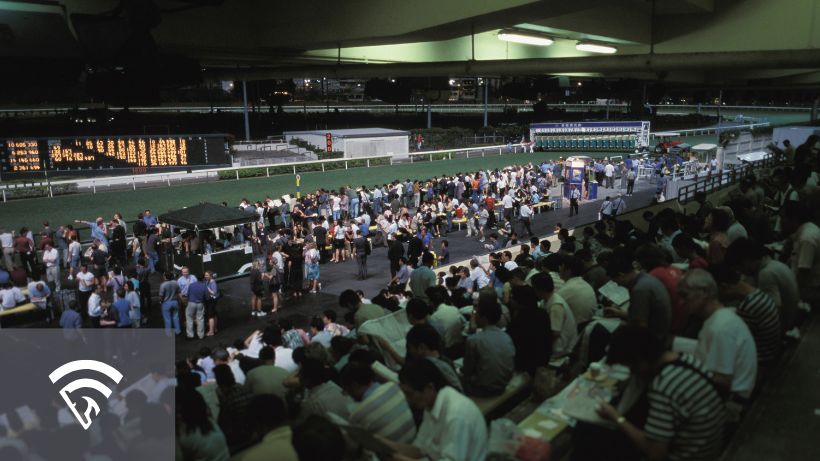 pari-mutuel betting là gì - Image 3