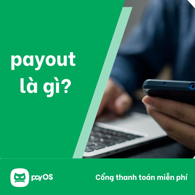 payout cược là gì - Image 4
