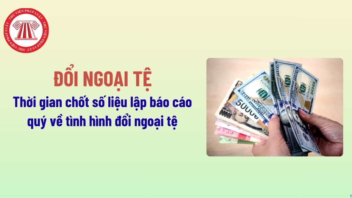 percentage betting là gì - Image 4