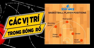 player points là gì