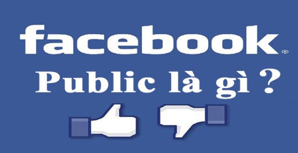 public bettor là gì - Image 2