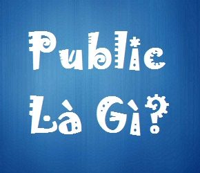 public bettor là gì - Image 4