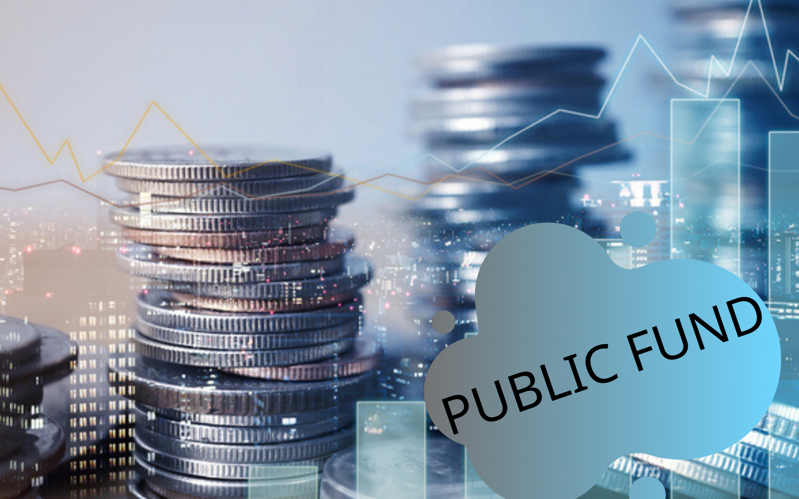 public money là gì - Image 3