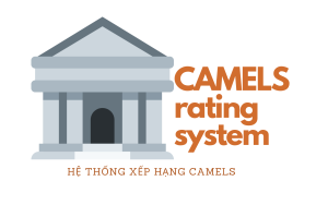 rating system là gì