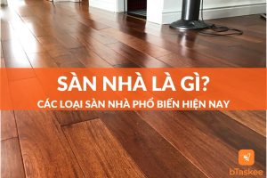 sân nhà là gì