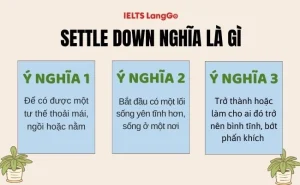 settled bet là gì