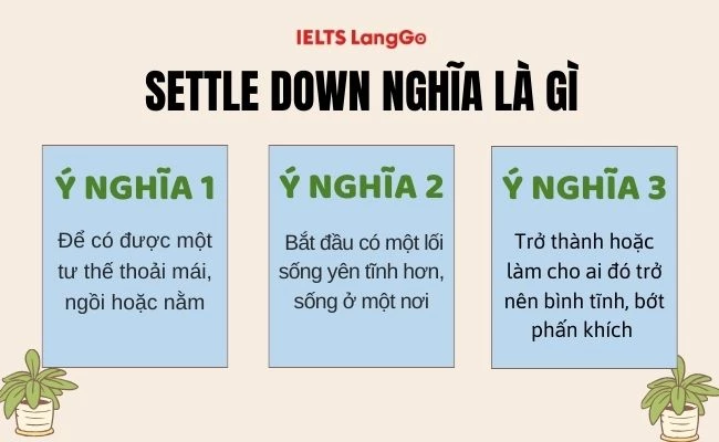 settled bet là gì - Image 1