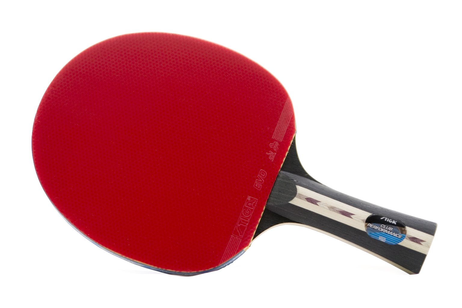table tennis betting là gì - Image 5