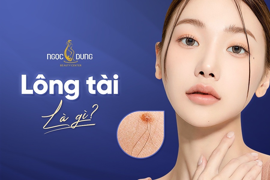 tài là gì - Image 3