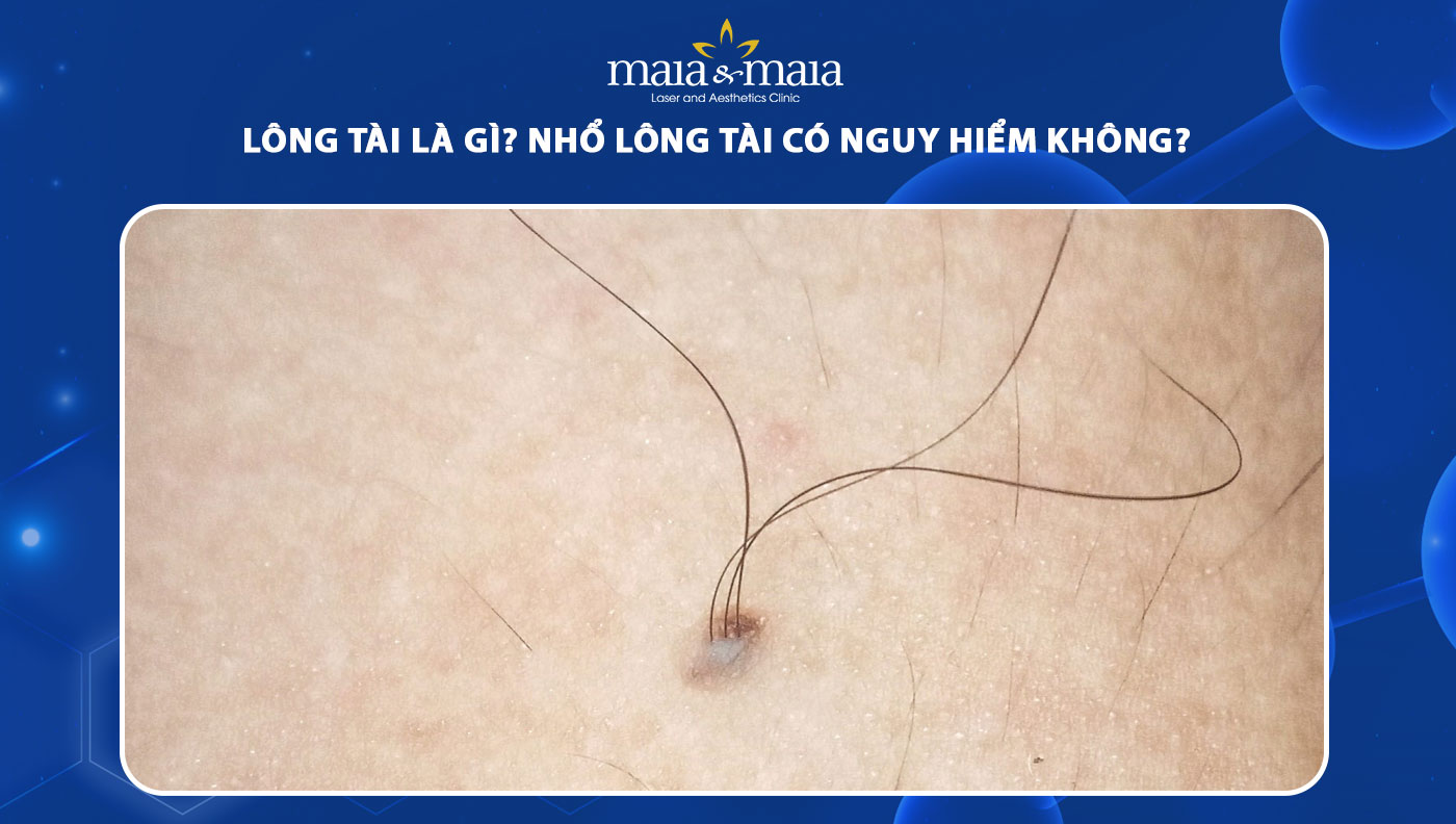 tài là gì - Image 5