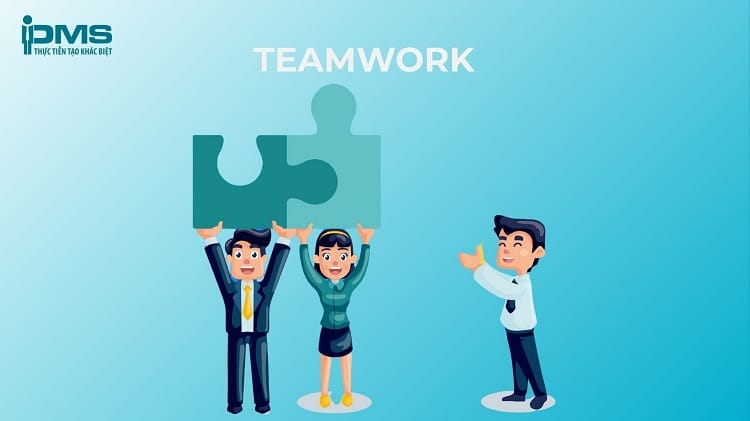 team total là gì - Image 3