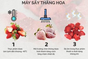 thắng hòa là gì