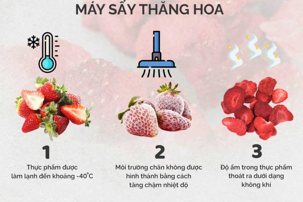 thắng hòa là gì - Image 1