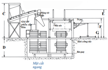 tricast là gì - Image 4