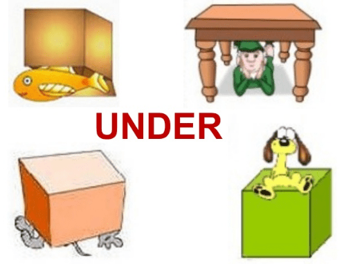 under là gì - Image 3