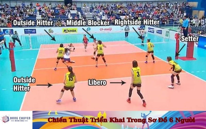 volleyball total points là gì - Image 1