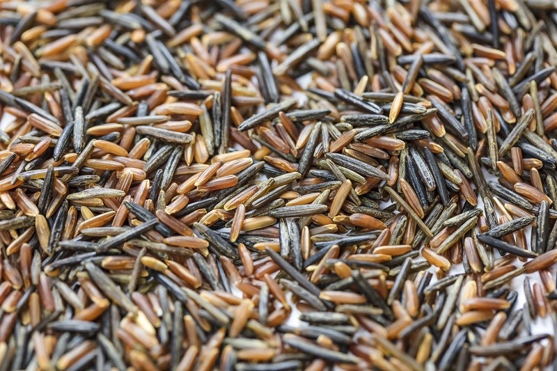 wild là gì - Image 4