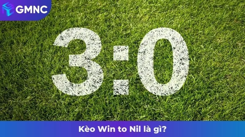 win to nil là gì - Image 4