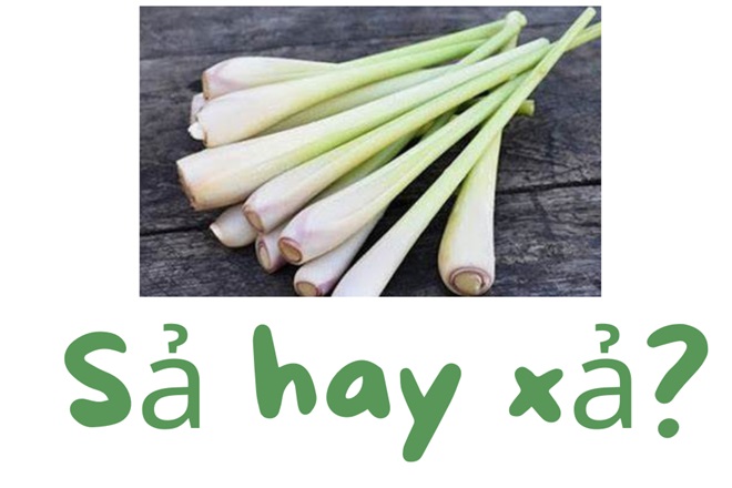 xA là gì - Image 1